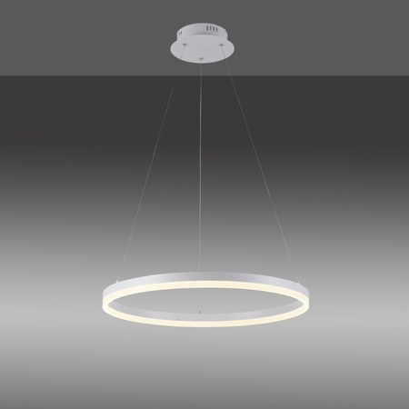 Lampa wisząca biały ring 60cm TITUS LED 3000K Paul Neuhaus 2382-16