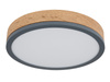 Lampa sufitowa DORO LED 30cm Globo 416080WD1R