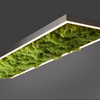 Lampa sufitowa prostokątna naturalny mech GREEN KNUT Just Light 15623-66 