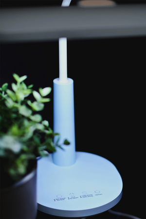 Lampka biurkowa K-BL1521 NIEBIESKI z serii MILO Kaja Lighting
