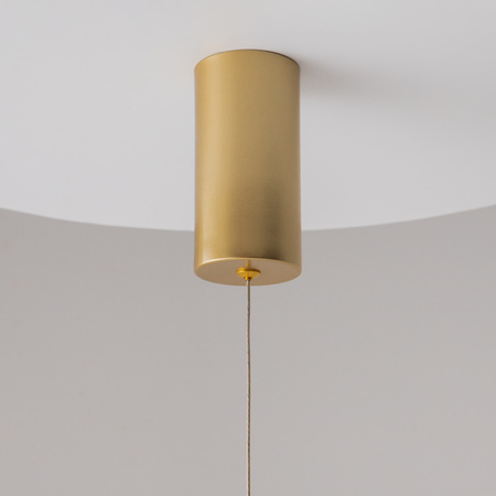 Lampa wisząca podłużna świecąca tuba RAY LED 3000K Maytoni P022PL-L10MG3K