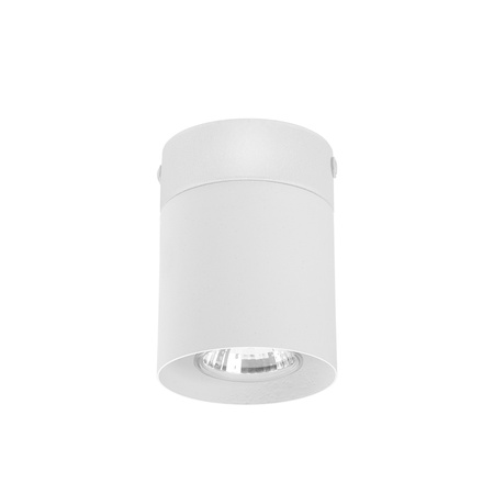 Lampa sufitowa oprawa spot VICO WHITE TK Lighting 3406