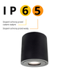 Faro XL oprawa natynkowa czarna IP65 Light Prestige LP-6510/1SM XL BK