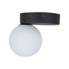 Lampa sufitowa BIANCA BLACK TK Lighting 5681