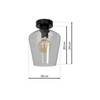 Lampa sufitowa SANTIAGO CLEAR 1xE27 Milagro MLP6602