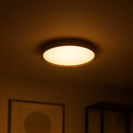 Okrągły plafon FOREST 24W LED 4000K Ø390 Milagro ML2054