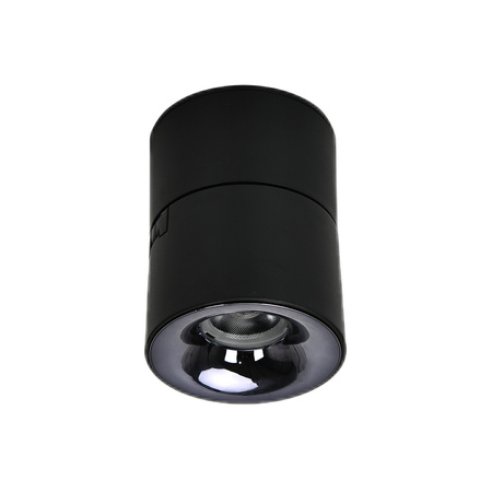 Ruchoma oprawa natynkowa Brema czarna LED CCT Light Prestige LP-2626/1RM BK movable