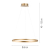 Lampa wisząca okrąg o średnicy 60cm LED 3000K TITUS Mosiadz Paul Neuhaus 2382-60 z wbudowanym ściemniaczem
