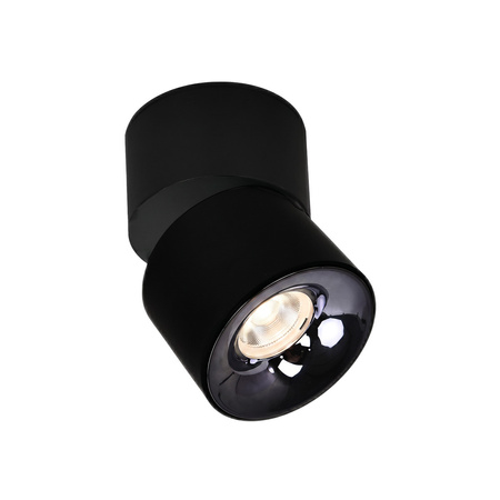 Ruchoma oprawa natynkowa Brema czarna LED CCT Light Prestige LP-2626/1RM BK movable