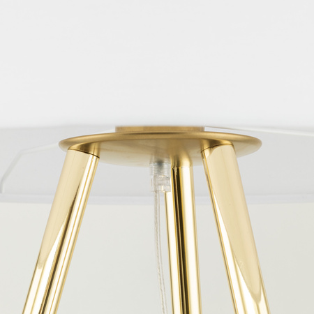 UMBERTO WHITE GOLD LAMPA PODŁOGOWA 1 TK Lighting 6637