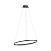 Lampa wisząca antracytowy okrąg 80cm TITUS Paul Neuhaus 2392-13 z wbudowanym ściemniaczem