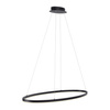 Lampa wisząca antracytowy okrąg 118cm x 56cm TITUS Paul Neuhaus 2393-13 z wbudowanym ściemniaczem