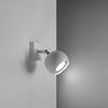 Kinkiet, oprawa pojedyncza OCULARE 1 Sollux Lighting SL0437 SL0443 - kolor do wyboru