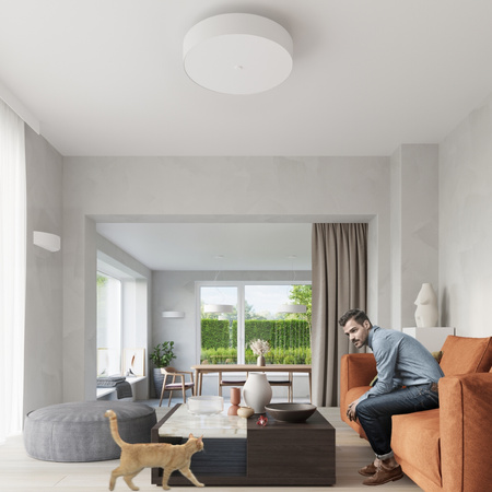 Lampa sufitowa SKALA 80 Sollux Lighting  2BM SL.0813 SL.0814 - kolor do wyboru
