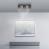Czarna podłużna lampa sufitowa trzy tuby LED 2700K PURE CUP Paul Neuhaus 6227-18