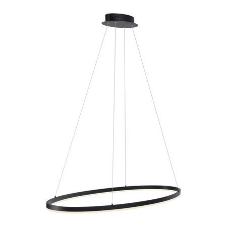 Lampa wisząca antracytowy okrąg 118cm x 56cm TITUS Paul Neuhaus 2393-13 z wbudowanym ściemniaczem