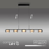 Lampa wisząca pięcopunktowa z wbudowanym ściemniaczem RIKA Paul Neuhaus 2116-18