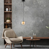 Pojedyńcza lampa wisząca z funkcją ściemniania i Comfort LIFT RIKA Paul Neuhaus 112-18 