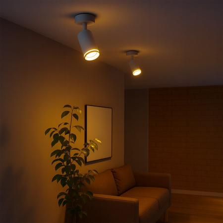 Oprawa Pipe Ring Spot Biały 1xGU10 Milagro ML2068