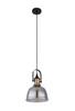 Lampa wisząca DOROTHEA 20cm Globo 15558H