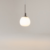 Lampa wisząca ERICH Maytoni MOD221-PL-01-N