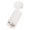 Oprawa Pipe Ring Spot Biały 1xGU10 Milagro ML2068