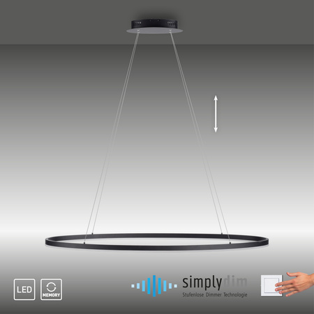 Lampa wisząca antracytowy okrąg 118cm x 56cm TITUS Paul Neuhaus 2393-13 z wbudowanym ściemniaczem