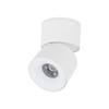 Biała oprawa natynkowa ruchoma tuba wybór barwy światła SPARK WHITE CCT 10W Tk Lighting 18168