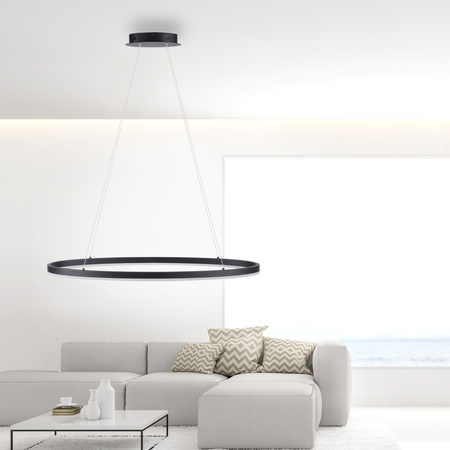 Lampa wisząca antracytowy okrąg 80cm TITUS Paul Neuhaus 2392-13 z wbudowanym ściemniaczem