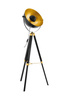 Lampa podłogowa COVALEDA Eglo 49618