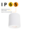 Faro XL oprawa natynkowa biała Light Prestige LP-6510/1SM XL WH