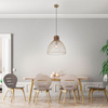 Lampa wisząca ALAMI 40cm Leuchten Direkt 11489-60