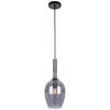 Lampa wisząca LUGANO SMOKED 1xE14 ML8813
