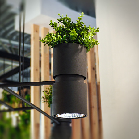 Kinkiet KUKKIA czarny metalowy THORO Sollux Lighting TH.005CZ