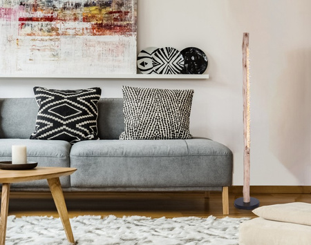 Lampa podłogowa FELICITAS LED Globo 15354-15S