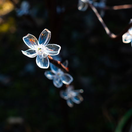 Drzewko lampa Solarna Tree 120cm RGB+3000K IP44 Eko-Light EKO1448