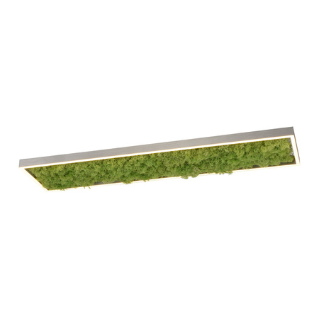 Lampa sufitowa prostokątna naturalny mech GREEN KNUT Just Light 15623-66 
