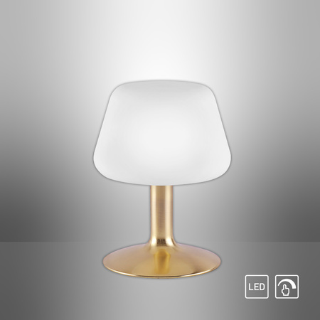 LAMPA STOŁOWA MATOWY MOSIĄDZ 1xG9 TILL Paul Neuhaus 4078-60 na dotyk