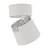 Biała oprawa natynkowa ruchoma KYOTO WHITE 18W Tk Lighting 18138