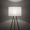 UMBERTO WHITE GOLD LAMPA PODŁOGOWA 1 TK Lighting 6637