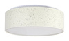 Lampa sufitowa plafon OTILIA LED Rabalux 3308