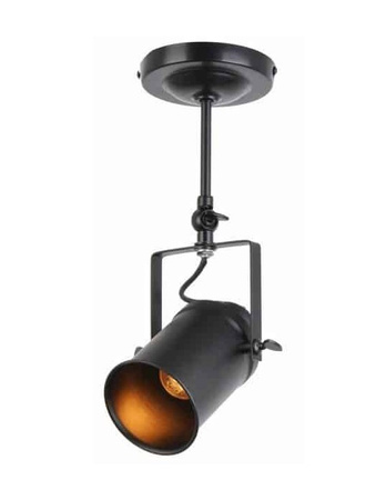 Lampa sufitowa pojedyncza GEMMA Reality 638001-02