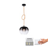 Lampa wisząca pojedyńcza szklany klosz i świecący przewód LUMA Paul Neuhaus  2410-18