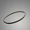 Lampa wisząca antracytowy okrąg 80cm TITUS Paul Neuhaus 2392-13 z wbudowanym ściemniaczem