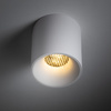 Biała oprawa natynkowa tuba 7,3cm wybór barwy światła BLAZE WHITE CCT 12W Tk Lighting 18157