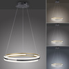 Lampa wisząca matowy okrąg 60cm sterowany pilotem i aplikacją Q-BELUGA Paul Neuhaus 2051-60