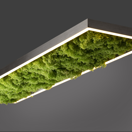 Lampa sufitowa prostokątna naturalny mech GREEN KNUT Just Light 15623-66 