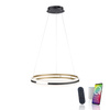 Lampa wisząca matowy okrąg 60cm sterowany pilotem i aplikacją Q-BELUGA Paul Neuhaus 2051-60