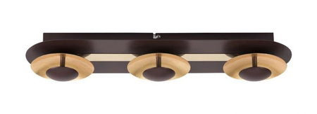 Lampa sufitowa BRIGITTE LED Rabalux 2553