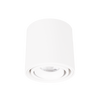 Biała tuba sufitowa natynowa o średnicy 7cm LED 3000K IP44 Maxlight C0256 Fix